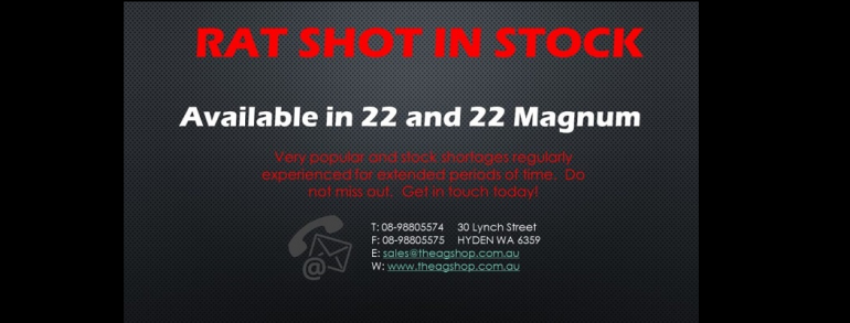 Rat Shot in Stock